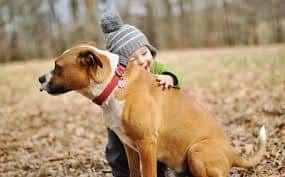 best dog breeds for kids
